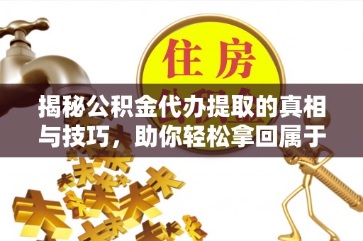 高树揭秘公积金代办提取的真相与技巧，助你轻松拿回属于自己的钱