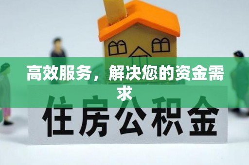高树高效服务，解决您的资金需求