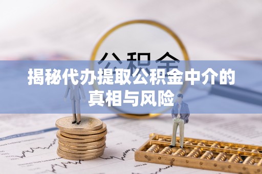 高树揭秘代办提取公积金中介的真相与风险