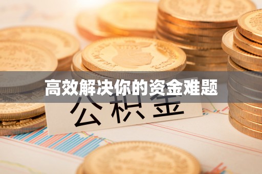 高树高效解决你的资金难题