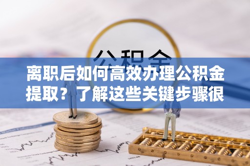 高树离职后如何高效办理公积金提取？了解这些关键步骤很重要！