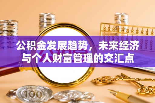 高树公积金发展趋势，未来经济与个人财富管理的交汇点
