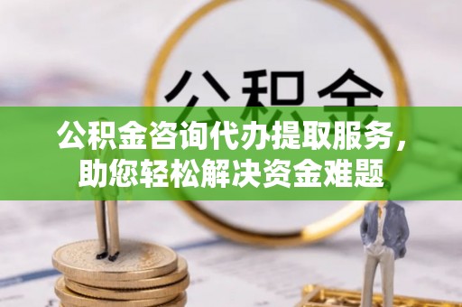 高树公积金咨询代办提取服务，助您轻松解决资金难题
