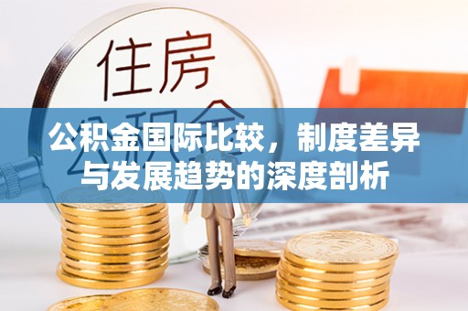 高树公积金国际比较，制度差异与发展趋势的深度剖析