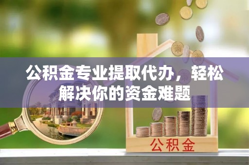 高树公积金专业提取代办，轻松解决你的资金难题