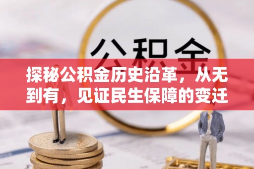 高树探秘公积金历史沿革，从无到有，见证民生保障的变迁