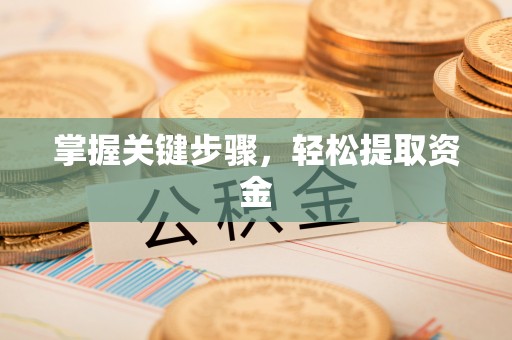 高树掌握关键步骤，轻松提取资金