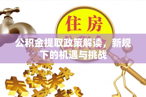 高树公积金提取政策解读，新规下的机遇与挑战