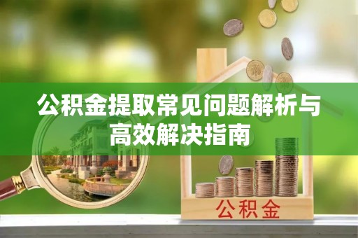 高树公积金提取常见问题解析与高效解决指南