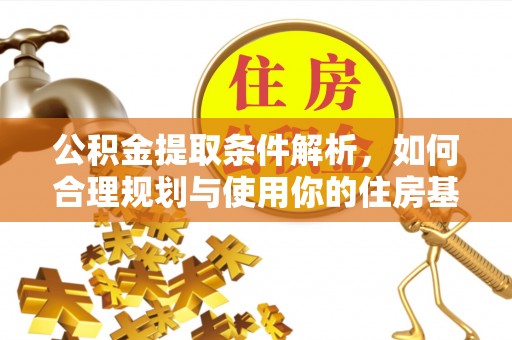 高树公积金提取条件解析，如何合理规划与使用你的住房基金