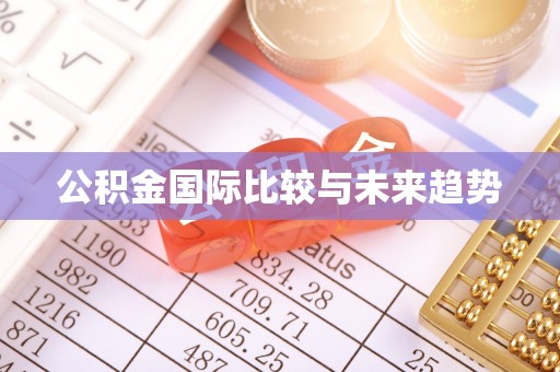 高树公积金国际比较与未来趋势