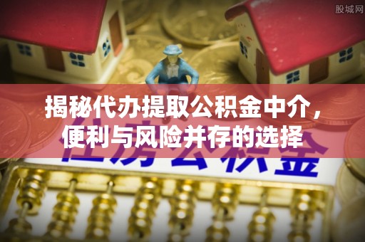 高树揭秘代办提取公积金中介，便利与风险并存的选择