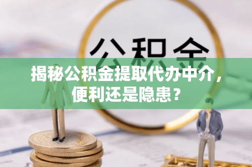 高树揭秘公积金提取代办中介，便利还是隐患？