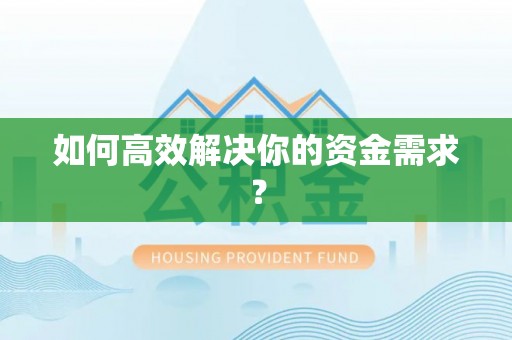 高树如何高效解决你的资金需求？