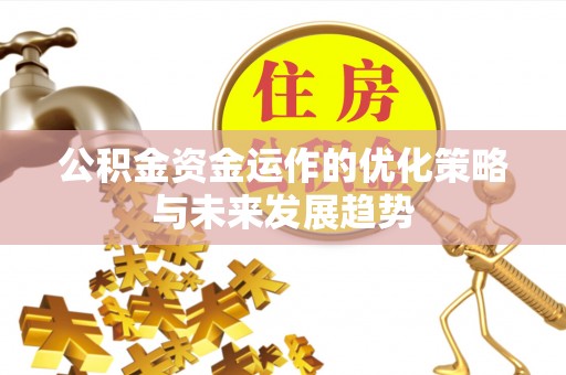高树公积金资金运作的优化策略与未来发展趋势