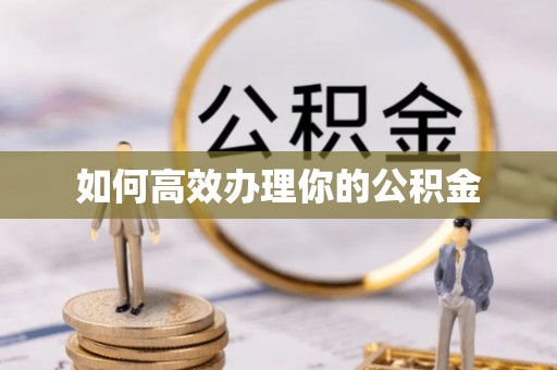 高树如何高效办理你的公积金