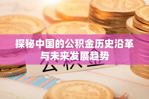 高树探秘中国的公积金历史沿革与未来发展趋势