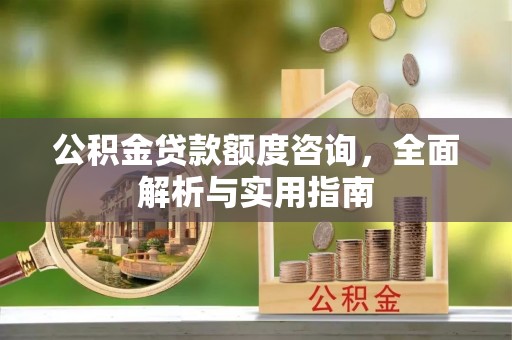 高树公积金贷款额度咨询，全面解析与实用指南