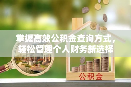 高树掌握高效公积金查询方式，轻松管理个人财务新选择
