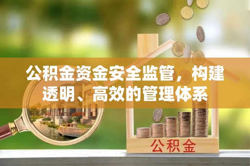 高树公积金资金安全监管，构建透明、高效的管理体系