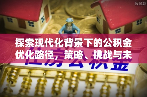 高树探索现代化背景下的公积金优化路径，策略、挑战与未来展望
