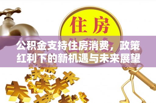 高树公积金支持住房消费，政策红利下的新机遇与未来展望