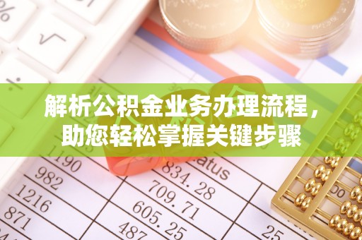 高树解析公积金业务办理流程，助您轻松掌握关键步骤