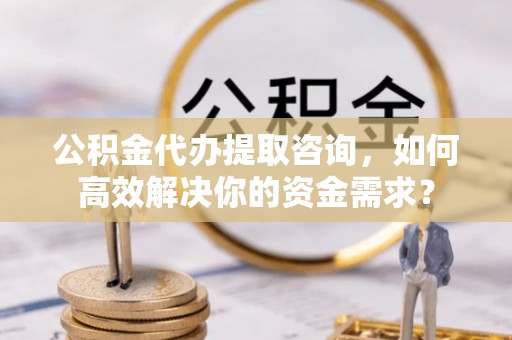 高树公积金代办提取咨询，如何高效解决你的资金需求？