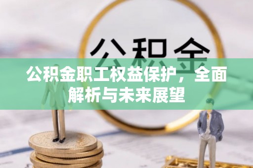 高树公积金职工权益保护，全面解析与未来展望
