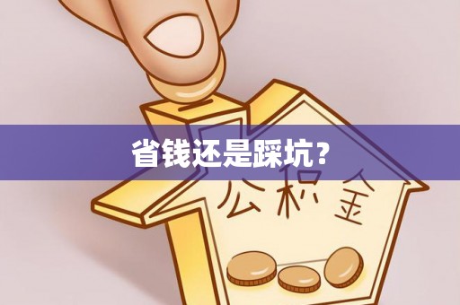 高树省钱还是踩坑？