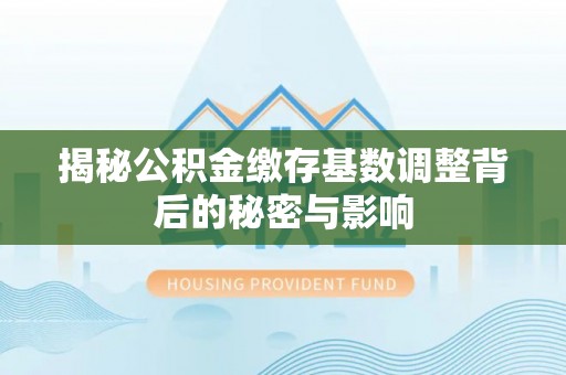 高树揭秘公积金缴存基数调整背后的秘密与影响