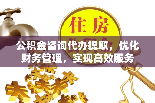 高树公积金咨询代办提取，优化财务管理，实现高效服务