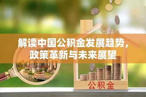 高树解读中国公积金发展趋势，政策革新与未来展望