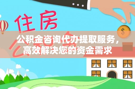 高树公积金咨询代办提取服务，高效解决您的资金需求