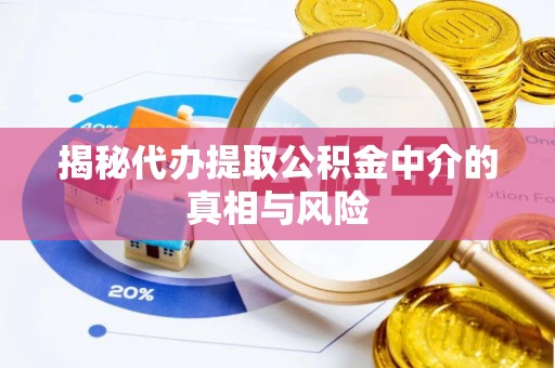 高树揭秘代办提取公积金中介的真相与风险