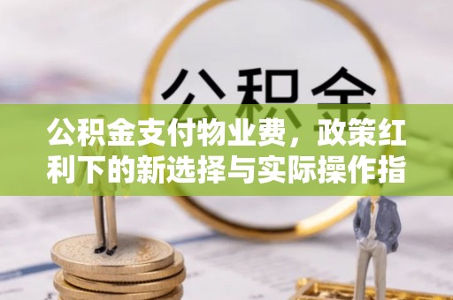 高树公积金支付物业费，政策红利下的新选择与实际操作指南
