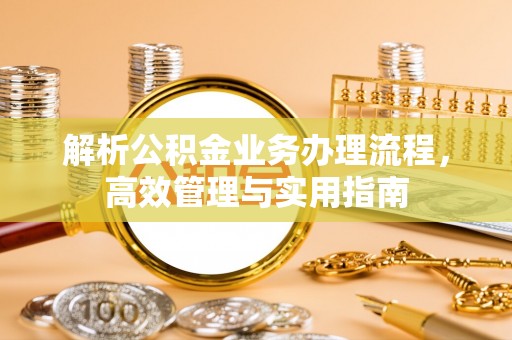 高树解析公积金业务办理流程，高效管理与实用指南