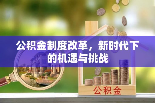 高树公积金制度改革，新时代下的机遇与挑战
