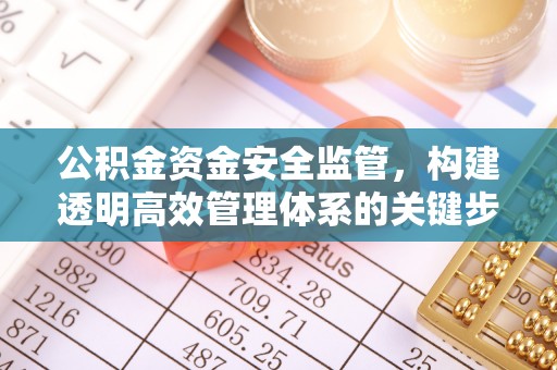 高树公积金资金安全监管，构建透明高效管理体系的关键步骤