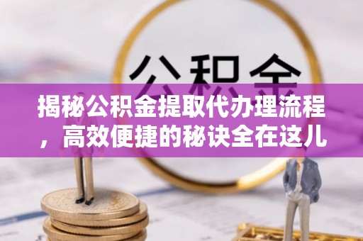 高树揭秘公积金提取代办理流程，高效便捷的秘诀全在这儿