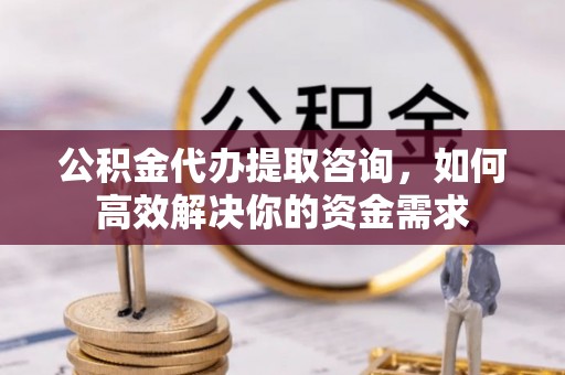 高树公积金代办提取咨询，如何高效解决你的资金需求