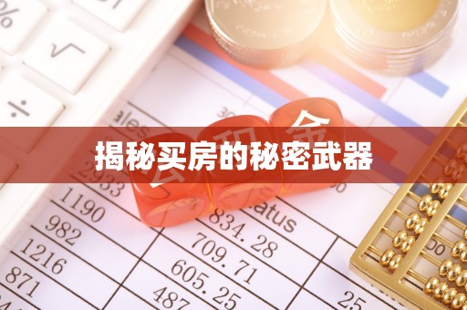 高树揭秘买房的秘密武器