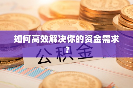高树如何高效解决你的资金需求？