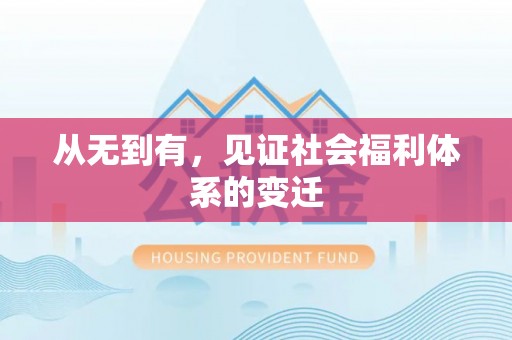 高树从无到有，见证社会福利体系的变迁