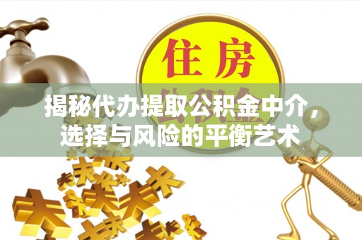 高树揭秘代办提取公积金中介，选择与风险的平衡艺术