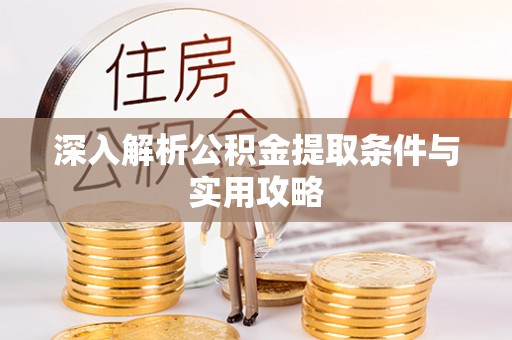 高树深入解析公积金提取条件与实用攻略