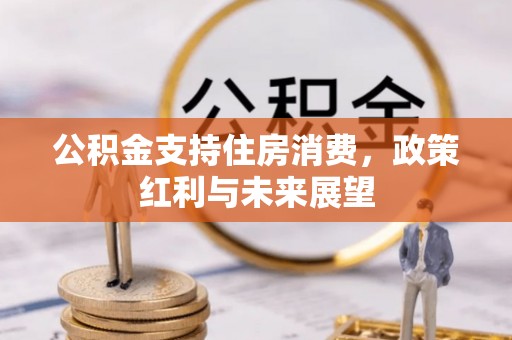 高树公积金支持住房消费，政策红利与未来展望