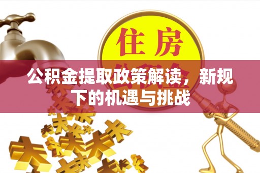 高树公积金提取政策解读，新规下的机遇与挑战