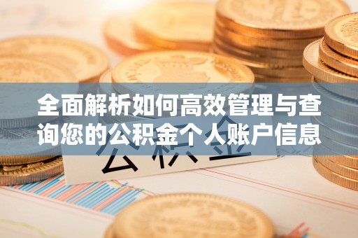 高树全面解析如何高效管理与查询您的公积金个人账户信息