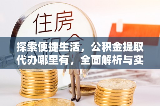 高树探索便捷生活，公积金提取代办哪里有，全面解析与实用指南